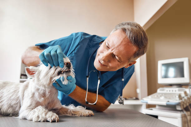 Best Knocked-Out Tooth Emergency  in Klamath Falls, OR